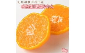 【先行予約】紀州有田産 濃厚完熟 温州みかん 5kg 【家庭用 訳あり】 ※2025年11月下旬頃〜2026年1月下旬頃に順次発送予定 / みかん ミカン 蜜柑 温州みかん 柑橘 フルーツ 果物 くだ