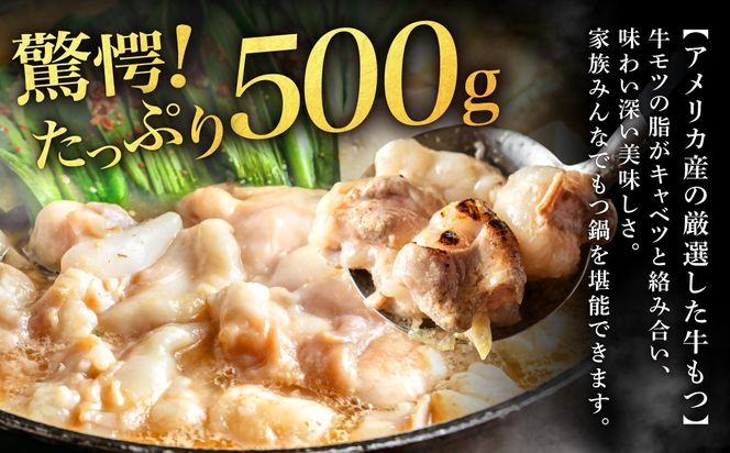 もつ増量500g　満足もつ鍋セット （2～3人前）あごだし 醤油仕立て 【魚住商店】_HA1588
