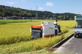 京都・峰山長岡産 丹後こしひかり 玄米10kg　MH00005