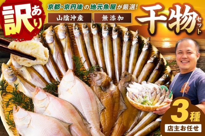 京丹後の地元魚屋が作ったお任せ干物セット（冷凍）　TB00024