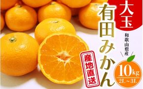 【先行予約】 ＼ みかんの名産地 和歌山県産／ 農家直送 大玉 有田みかん 10kg （2L～3L） ひとつひとつ手選別で厳選【2024年11月下旬頃発送予定】/【hdm001-2】