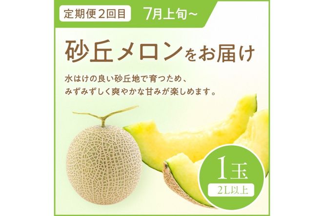 【先行予約】道の駅がおすすめする夏のフルーツ定期便～すいか・メロン～　KM00007