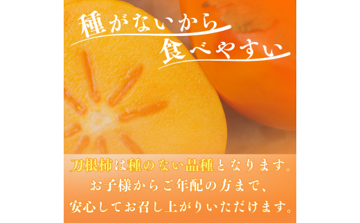 【☆令和7年産☆先行予約】たねなし柿 刀根柿【ご家庭用サイズおまかせ】(約7.5kg以上)【2025年9月下旬～10月上旬に順次発送致します。】/ 和歌山県 紀美野町  種なし カキ 柿 かき 刀根 