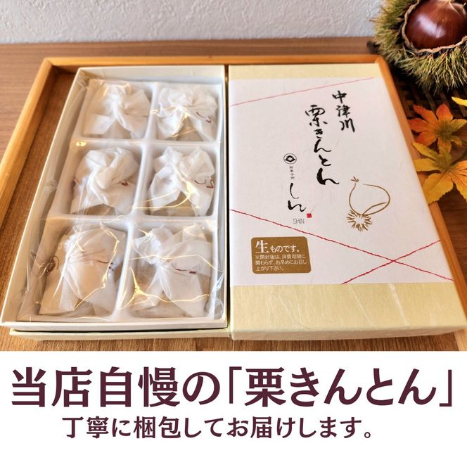 ＜御菓子所しん＞中津川栗きんとん6個入×2箱 F4N-3071