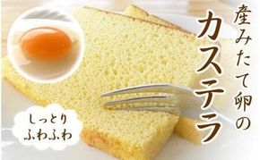 産みたて卵たっぷり！カステラ 1本