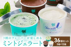 ミントジェラート カップ 3種×12個 ( アイス ジェラート スイーツ ミント カップ セット ふるさと納税 )【007-0020】