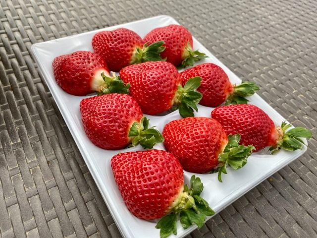 プレミアムオーガニックあまおう 「いせいちご」 スペシャルギフト【伊世いちご畑】_HA0480