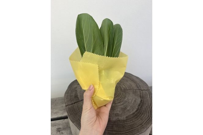 蜜蝋ラップ(丹後ちりめん) 繰り返し使える環境にやさしいエコラップ　RM00024