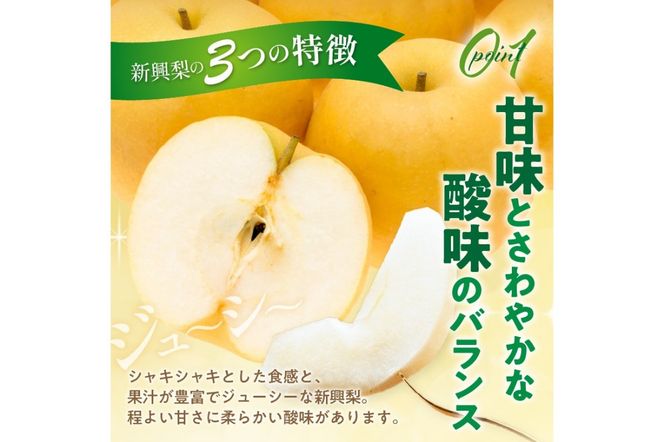 【先行予約／数量限定50】新興梨 秀品 5kg（8～16玉入り）（2026年10月上旬～発送）　SF00042