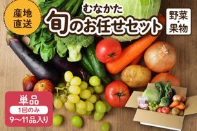 むなかた旬のお任せ セット(野菜・フルーツ)9～11品【JAほたるの里】_HA1570