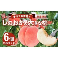 【数量限定】 しのおかの大きな桃(白鳳・特秀クラス）[017O01]