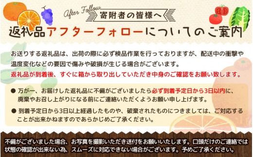  【先行予約受付　有田みかん】紀州有田産　濃厚完熟温州みかん　3kg（ＭサイズまたはＳサイズ）【2025年11月下旬頃〜2026年1月下旬頃に順次発送】/みかん 蜜柑 フルーツ 果物 くだもの 【uo