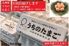 【F8-002】うちのたまご醤油セット(6回お届け)