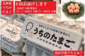 【F8-002】うちのたまご醤油セット(6回お届け)