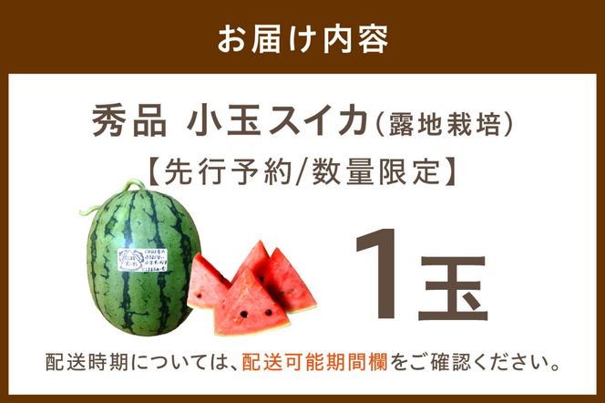 【先行予約／数量限定200】にしまるスイカ 秀品 1玉入り（露地栽培）（2026年7月中旬から発送）　FR00012