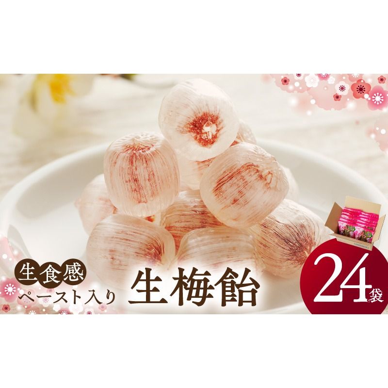 生梅飴[109R02]