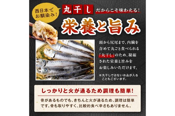 【定期便・3ヶ月】京丹後の地元魚屋が作ったお任せ干物セット（冷凍） FS00027