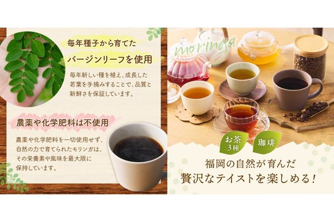 【B3-064】モリンガ珈琲ドリップタイプ・モリンガ日本茶3種