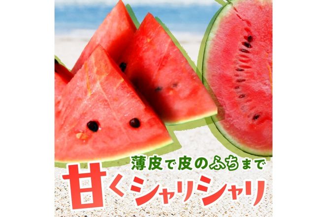 【先行予約／数量限定200】にしまるスイカ 訳あり 1玉入り（露地栽培）（2026年7月中旬から発送）　FR00014