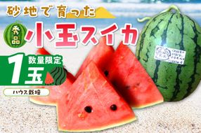 【先行予約／数量限定100】にしまるスイカ 秀品 1玉入り（ハウス栽培）（2026年6月中旬から発送）　FR00008