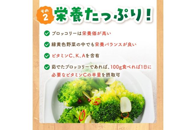 【先行予約】もりもり！ブロッコリー 約2kg（2025年11月上旬～発送）　9株程度 冷蔵 農家直送 ぶろっこりー 野菜 京野菜 新鮮　MY00005