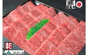 但馬牛 焼肉用 500g / モモ 肩 牛肉 焼肉 霜降り 赤身 但馬牛 黒毛和牛 和牛 国産牛 焼き肉 牛 肉 やきにく 【JAたじま 肉の店本店】