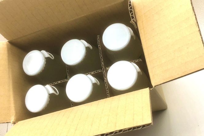 【先行予約】京丹後の梨ジュース 小瓶6本入り（2025年10月下旬～発送）　SF00019