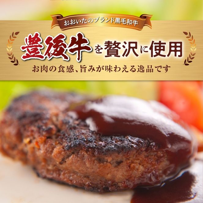 【A05065】豊後牛ハンバーグ（プレーン・チーズ入り）合計10個セット（合計約1kg）