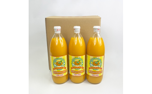 【和歌山県有田産】100%温州みかんジュース (970ml×12本セット)/ジュース みかん 【tss006A】