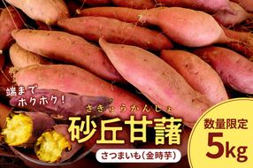 【先行予約／数量限定50】砂丘甘藷（さつまいも（金時芋）） 5kg（2025年12月上旬～発送）　JK00018