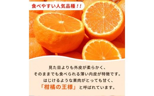【先行予約】紀州有田産不知火(しらぬひ) 2.5kg　※2026年2月中旬頃〜2026年3月中旬頃に順次発送予定（お届け日指定不可）/みかん 不知火 和歌山 フルーツ 有田 果物【uot794】
