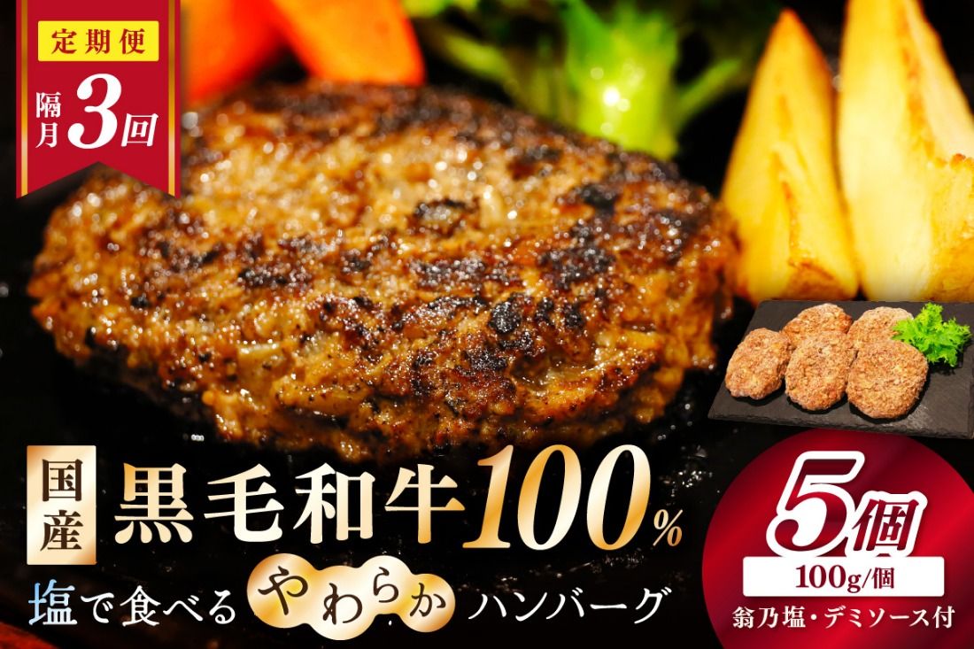 [定期便・隔月3回]塩で食べるやわらかハンバーグ(デミグラスソース付)