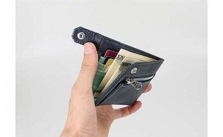 BAGGEX　豊岡製　レザースマートウォレット　35-0174（ブラック）