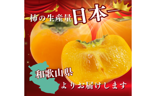 【☆令和7年産☆先行予約】たねなし柿 刀根柿【秀品】約4kg【2025年9月下旬～10月上旬に順次発送致します。】/ 和歌山県 紀美野町 2L～4L 種なし カキ 柿 かき 刀根 【frt001A】