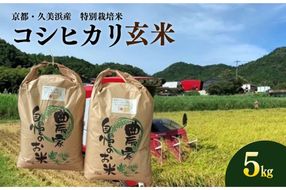 京都・久美浜産 特別栽培米コシヒカリ 5kg（玄米）　BV00002