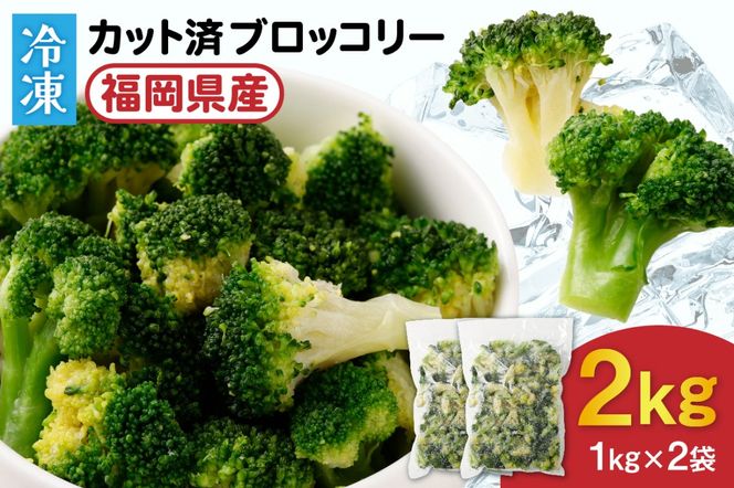 y@szi`ނȂubR[IⓀubR[2kg(1kg×2܁jyق̗z_HA0622