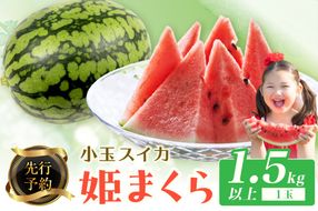 【先行予約】小玉スイカ 姫まくら 1玉（1.5kg以上）（2026年7月上旬～発送）　BF00007