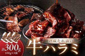 たれ漬けハラミ 1パック100ｇ×3袋　NH00044