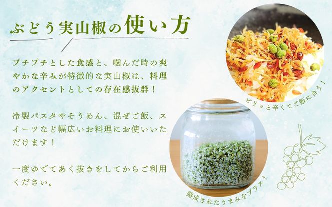  冷凍 ぶどう 生実山椒 250g / 山椒 さんしょう 香辛料 調味料 薬味 冷凍 ぶどう山椒 生山椒 和歌山県 紀美野町 生実山椒【twn020A】