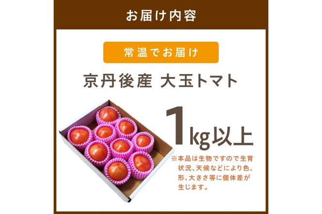 【ふるプレ限定品】【特別寄附額】【先行予約】京丹後産 大玉トマト 1kg以上 春夏発送（2026年5月中旬～発送）　MY00013P
