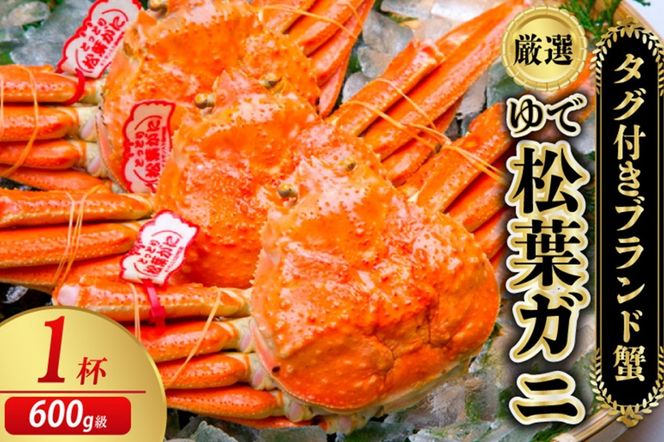【先行予約】【厳選！タグ付きブランド蟹】茹で松葉かに（600g級×1杯）（2026年1月～発送）　YK00229