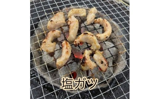 《7営業日以内に発送》北見 ホルモン 3点セット ( 焼肉 ホルモン 肉 にく 味付き肉 )【205-0001】