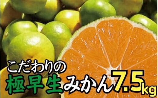 【2025年秋頃発送予約分】＼光センサー選別／ 【農家直送】こだわりの極早生みかん 約7.5kg 【数量限定】 有機質肥料100% サイズ混合 ※2025年9月下旬より順次発送予定（お届け日指定不可）