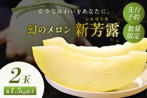 【先行予約／数量限定200】幻のメロン 新芳露 2玉（2026年7月中旬～発送）　DE00165