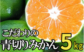  【2025年秋頃発送予約分】【農家直送】こだわりの青切りみかん 約5kg サイズお任せ 有機質肥料100%　※2025年9月下旬より順次発送予定（お届け日指定不可）/ミカン 蜜柑 柑橘 フルーツ く