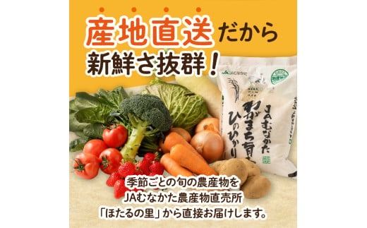 【9～11品】むなかた旬のお任せセット(野菜・フルーツ・お米)【JAほたるの里】_HA0263