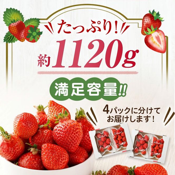 【アフター保証】どこよりも早くお届け！12月発送「博多あまおう」約280g×4パック【ほたるの里】_HA0502