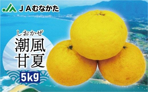 y@szE̒𗁂тāEEEyÉ5kgzyق̗z_HA0489