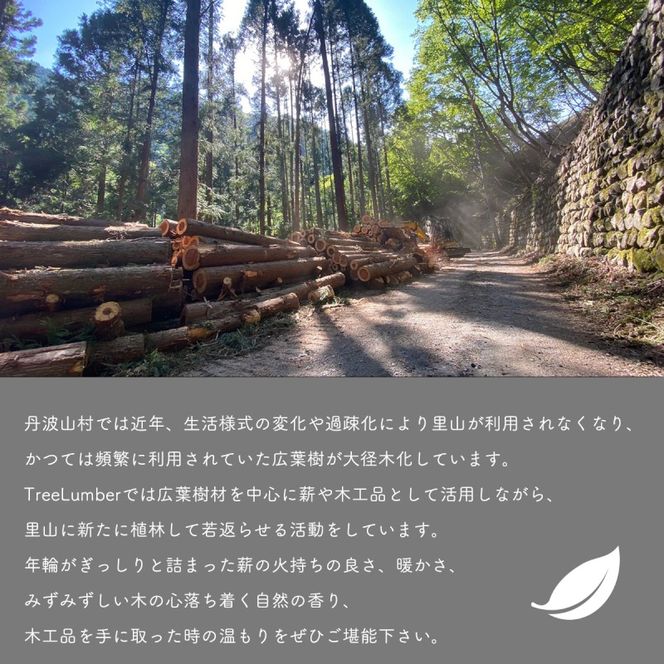 ひのきエッセンシャルオイル&アロマディッシュ 