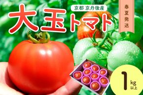 【ふるプレ限定品】【特別寄附額】【先行予約】京丹後産 大玉トマト 1kg以上 春夏発送（2026年5月中旬～発送）　MY00013P
